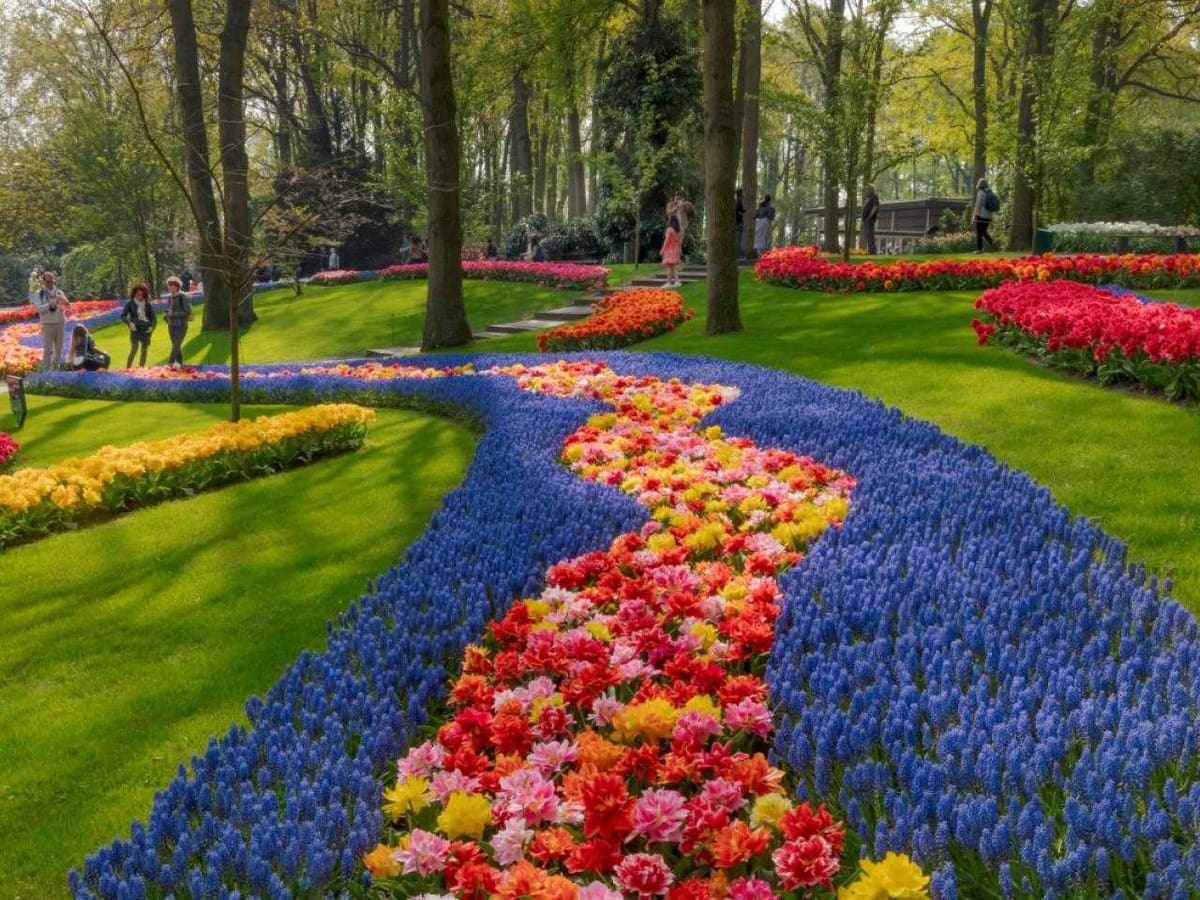 Keukenhof