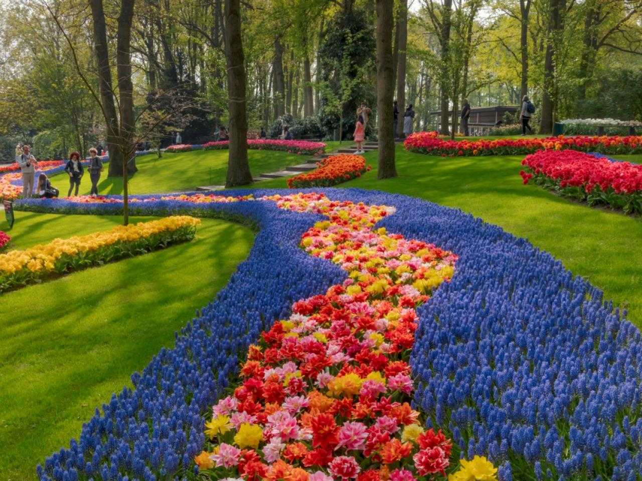 POWERFULL COLOR TOUR KEUKENHOF