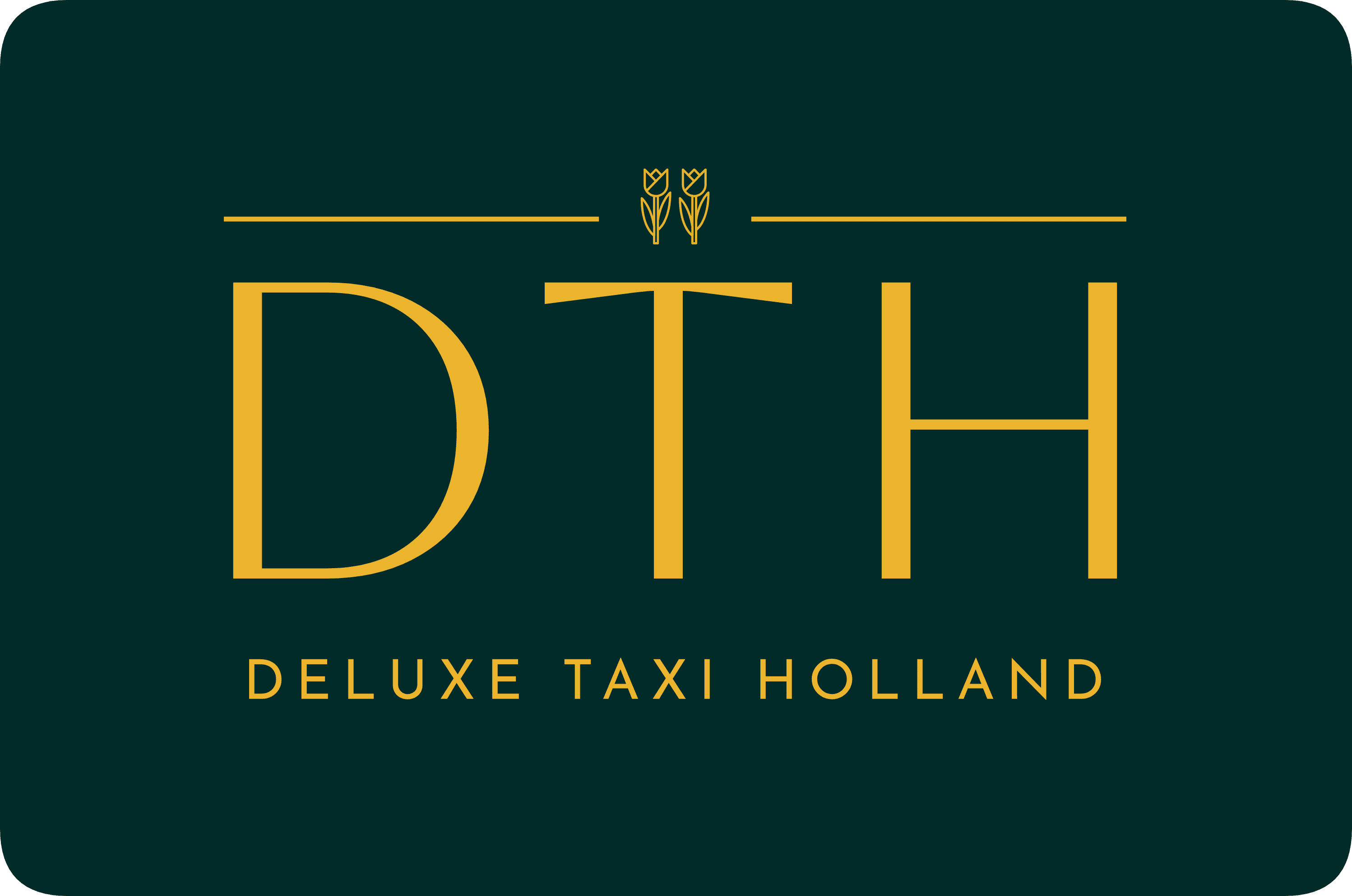 Deluxe Taxi Holland